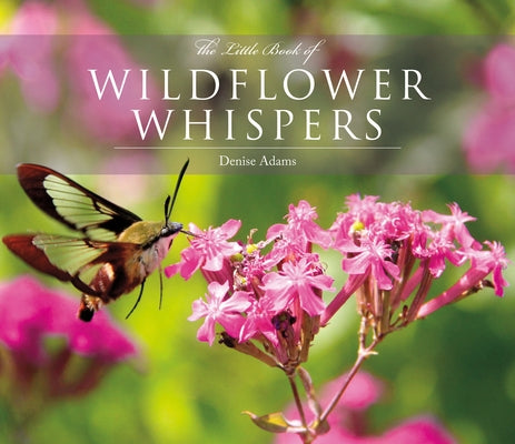 The Little Book of Wildflower Whispers by Adams, Denise