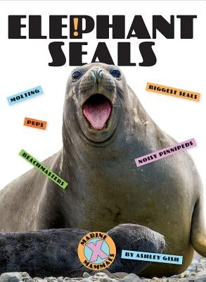 Elephant Seals by Gish, Ashley