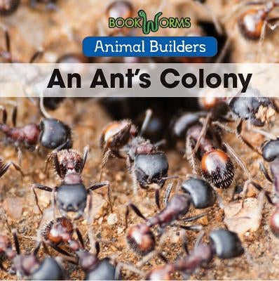 An Ant's Colony by De Nijs, Erika