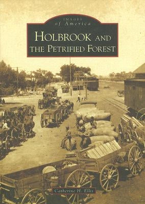 Holbrook and the Petrified Forest by Ellis, Catherine H.