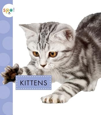 Kittens by Suen, Anastasia