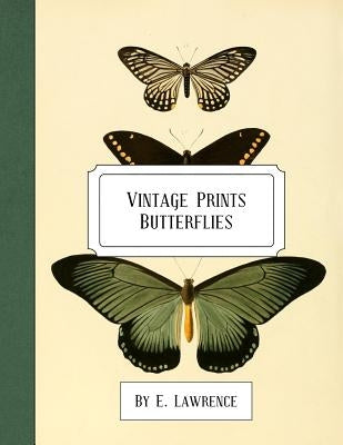 Vintage Prints: Butterflies by Lawrence, E.