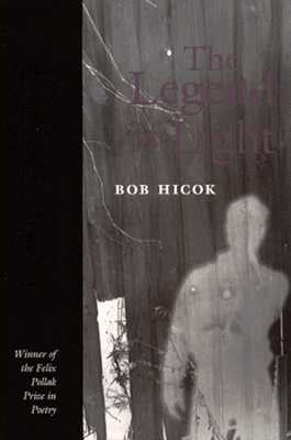 Legend of Light by Hicok, Bob