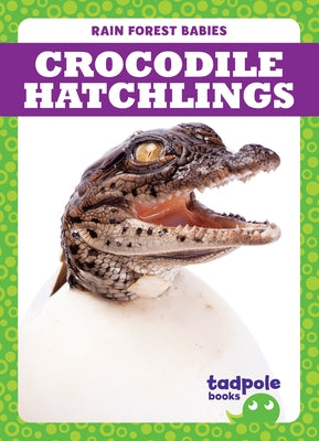 Crocodile Hatchlings by Nilsen, Genevieve