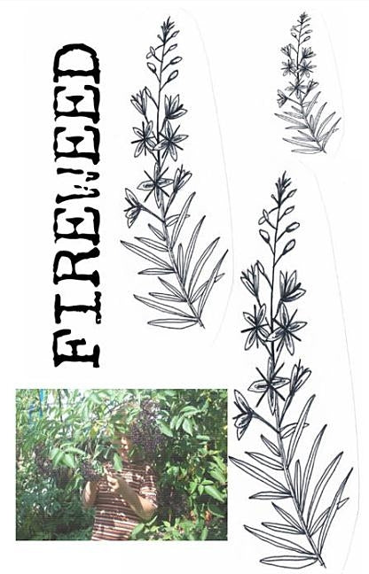 Fireweed #2: A Zine of Grassroots Radical Herbalism and Wild Foods Connecting with Kids and Family Life by Krueger, Jess