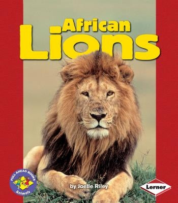 African Lions by Riley, Joelle