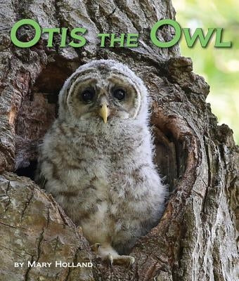 Otis the Owl by Holland, Mary