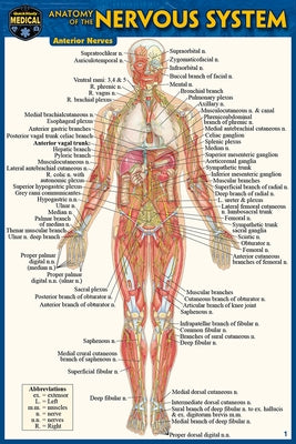 Anatomy of the Nervous System (Pocket-Sized Edition -4x6 Inches) by Perez, Vincent