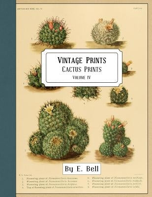 Vintage Prints: Cactus Prints by Bell, E.