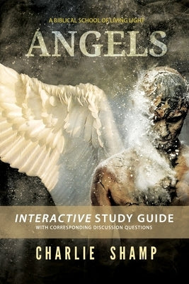 Angels Workbook: A Biblical School of Living Light by Shamp, Charlie