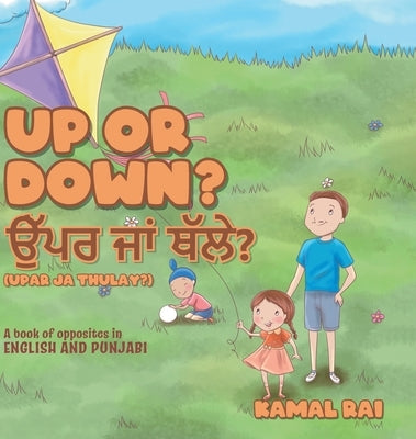 Up or Down? ਉੱਪਰ ਜਾਂ ਥੱਲੇ? (Upar ja Thulay?): A book of opposites in English and Pun by Rai, Kamal