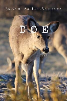 Doe by Baller-Shepard, Susan