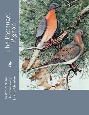 The Passenger Pigeon by Chambers, Jackson