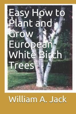 Easy How to Plant and Grow European White Birch Trees by Jack, William a.