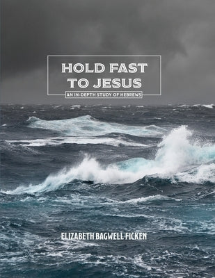 Hold Fast to Jesus: An in-depth study of Hebrews by Klingbeil, Jeannine