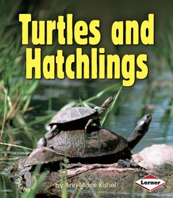 Turtles and Hatchlings by Kishel, Ann-Marie