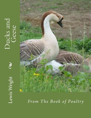 Ducks and Geese: From The Book of Poultry by Chambers, Jackson