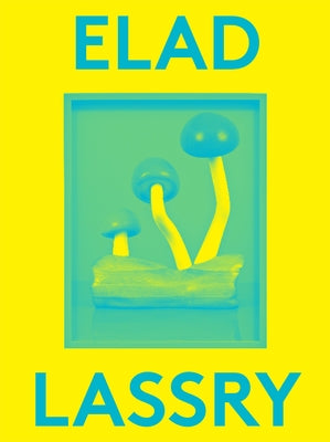 Elad Lassry: 2000 Words by Lassry, Elad