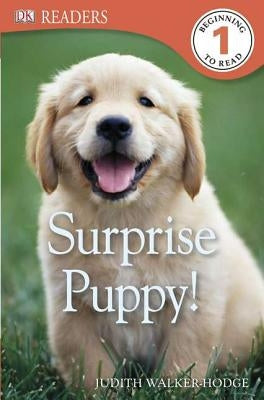DK Readers L1: Surprise Puppy by Walker-Hodge, Judith